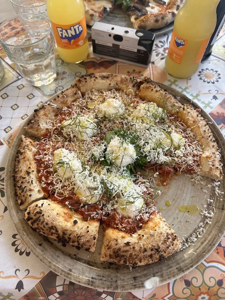 Adam_Apud Jatum Panormus_Aliminusa_review