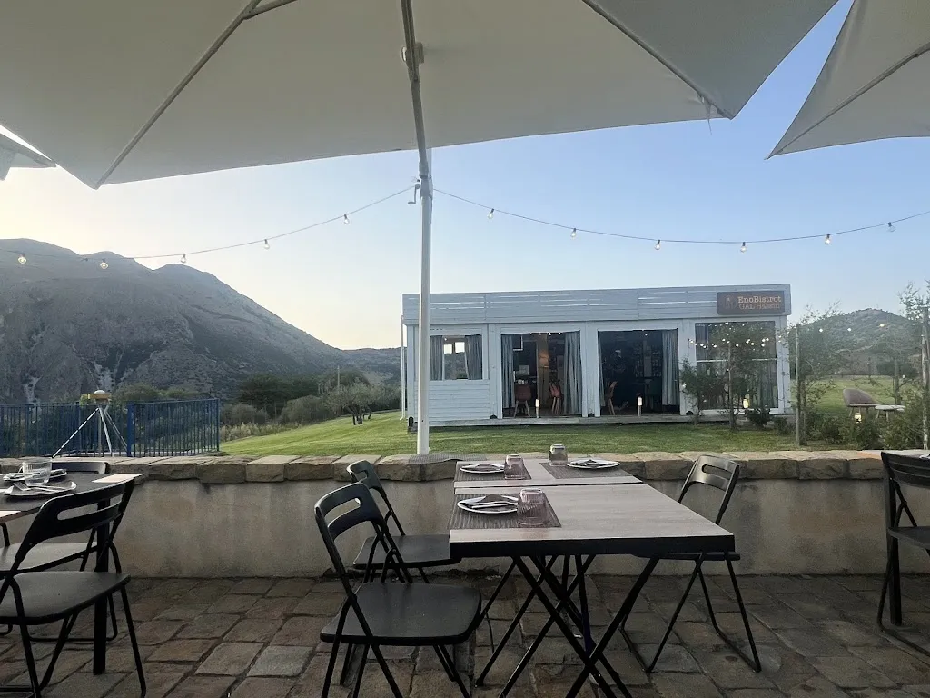 Kristine Ramsnes_EnoBistrot Gal Hassin_Aliminusa_recensione