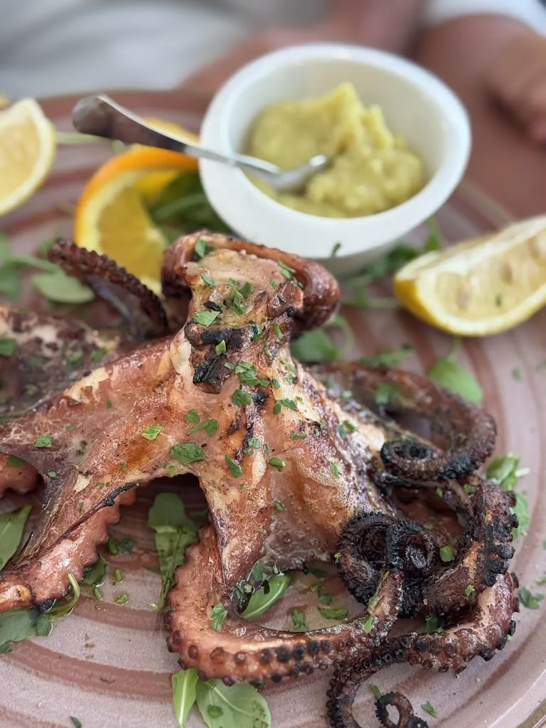 Marta Michalczyk-Jabłońska_Ameterra_Aliminusa_review