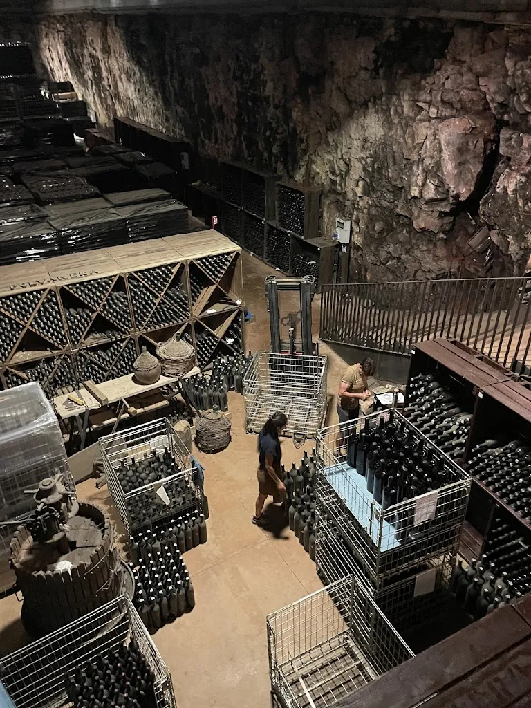 Polvanera gioia del colle_Gioia del Colle_slider_image_2