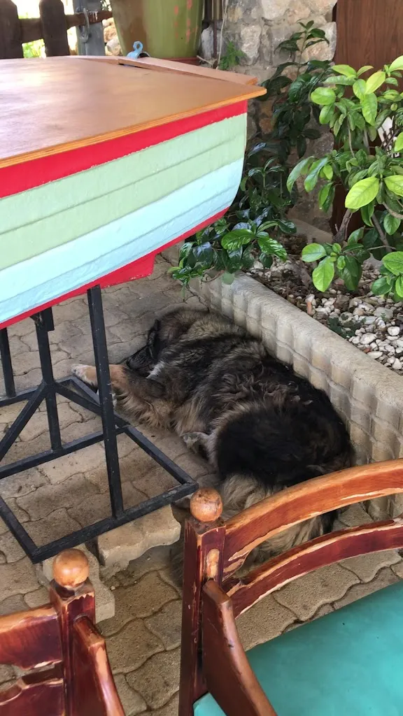 Marcy McCann_Lo chalet_Baucina_review