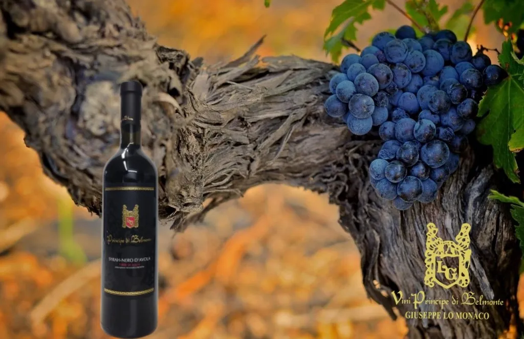 Vini Principe di Belmonte_Belmonte Mezzagno_slider_image_2