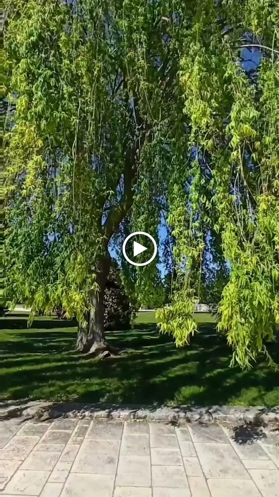 Tenuta Antico Leccio Agriturismo & Ricevimenti_Gioia del Colle_slider_image_2