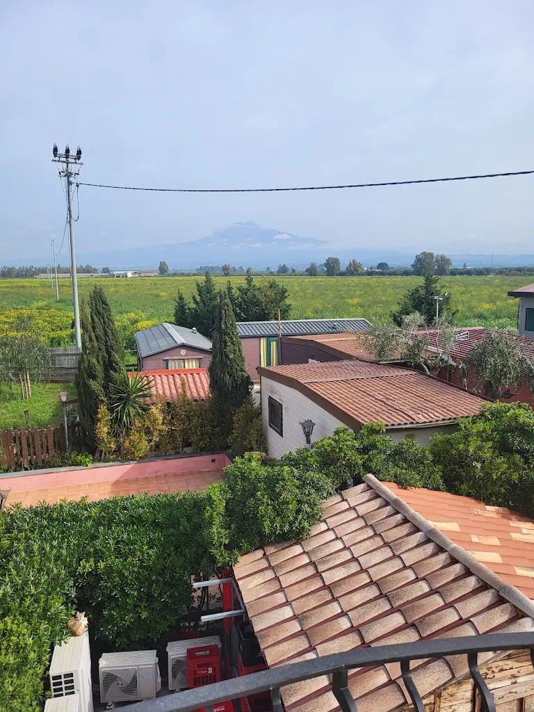 Momma Boy_Farm Oasis Francesca_Belpasso_review