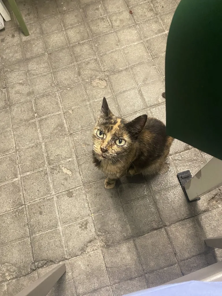 Markéta Vítová_Retrogusto_Avola_review