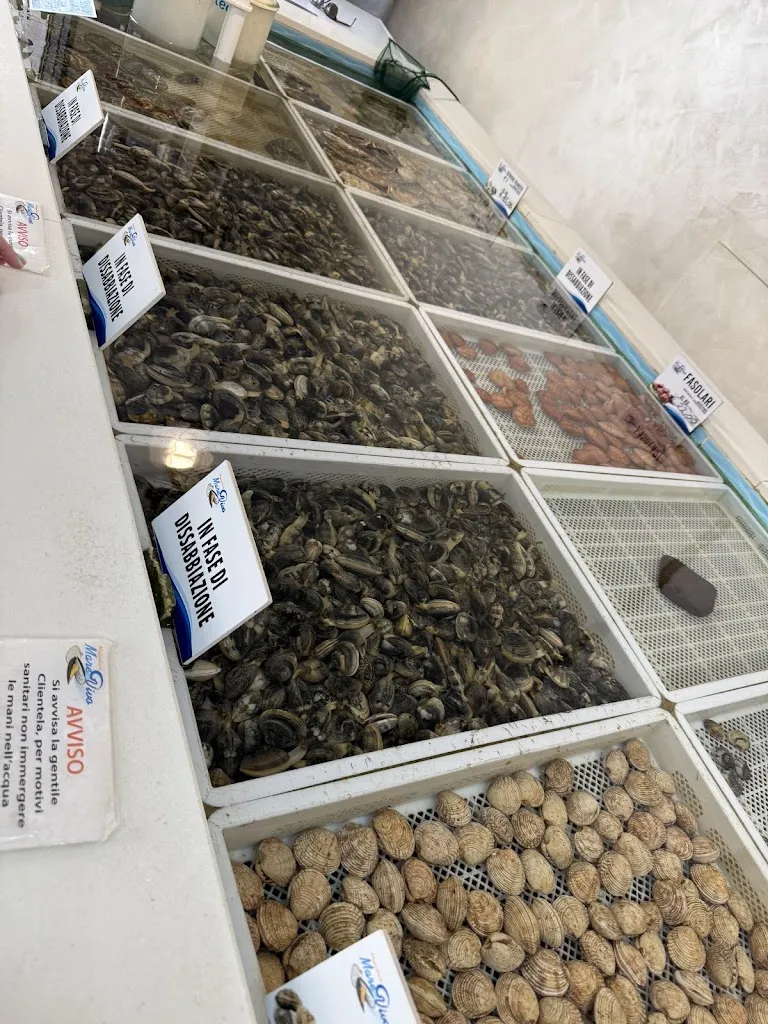 JINHOON BAE_Molluscheria Mare Vivo_Avola_review