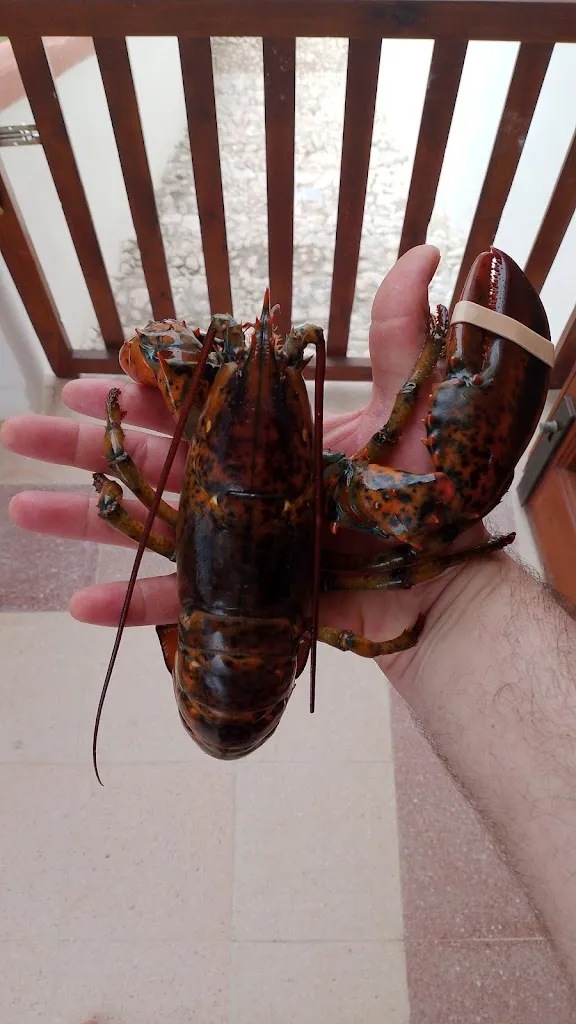 Arcangelo Ciccone_Molluscheria Mare Vivo_Avola_review