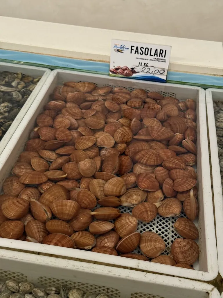 Molluscheria Mare Vivo_Avola_slider_image_2