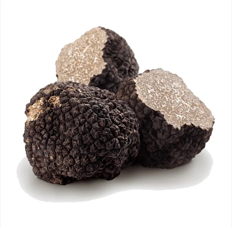 CasaMia_Avola_slider_image_3