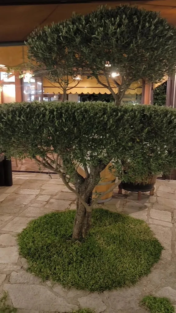 L'Osteria della Carne_Brolo_slider_image_2