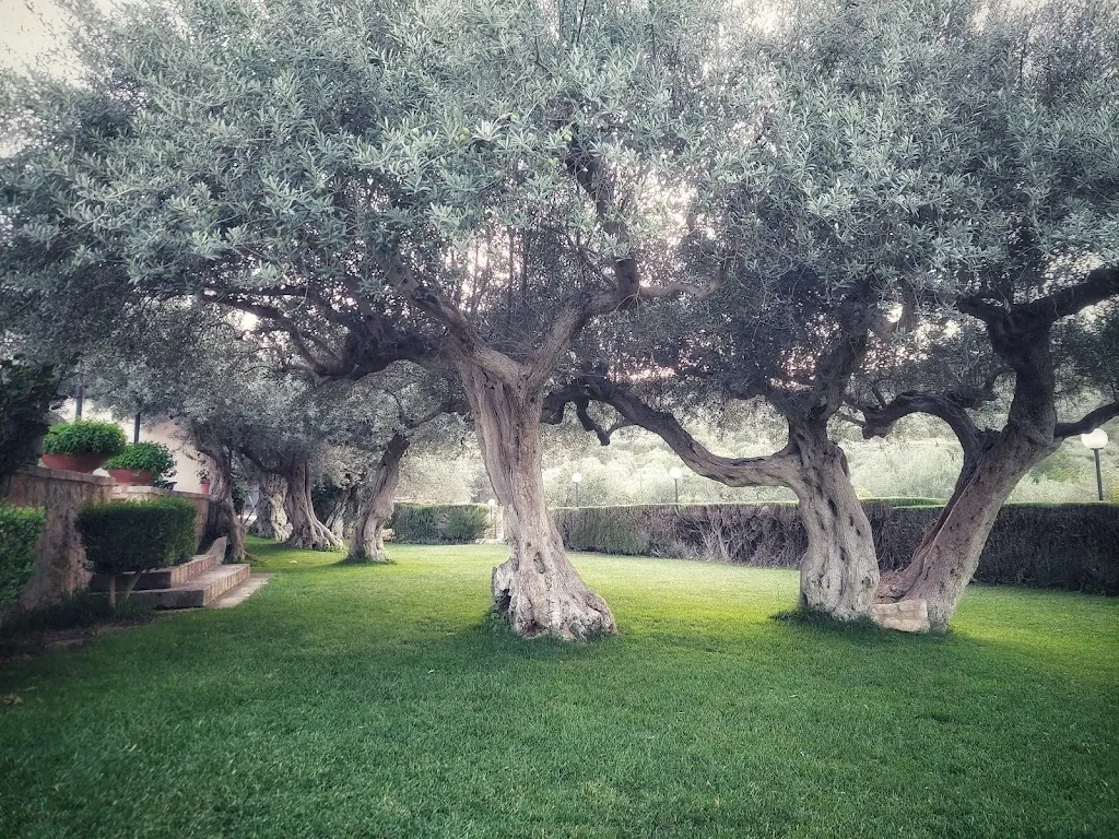 Raoul Topi_Da Antonio_Buccheri_review