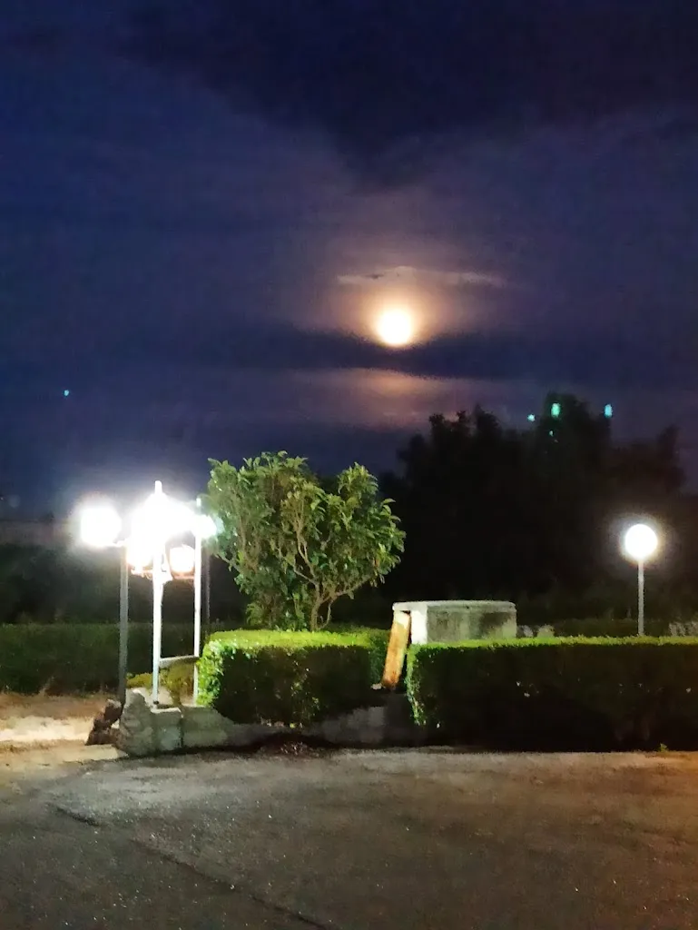 Ristorante Pizzeria Montursi_Gioia del Colle_slider_image_3