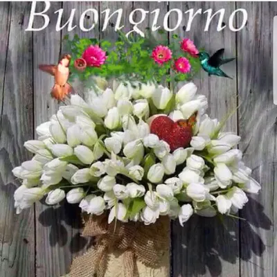 A.R.A Di Augello Salvatore Christian & C. S.N.C. restaurant in Calascibetta