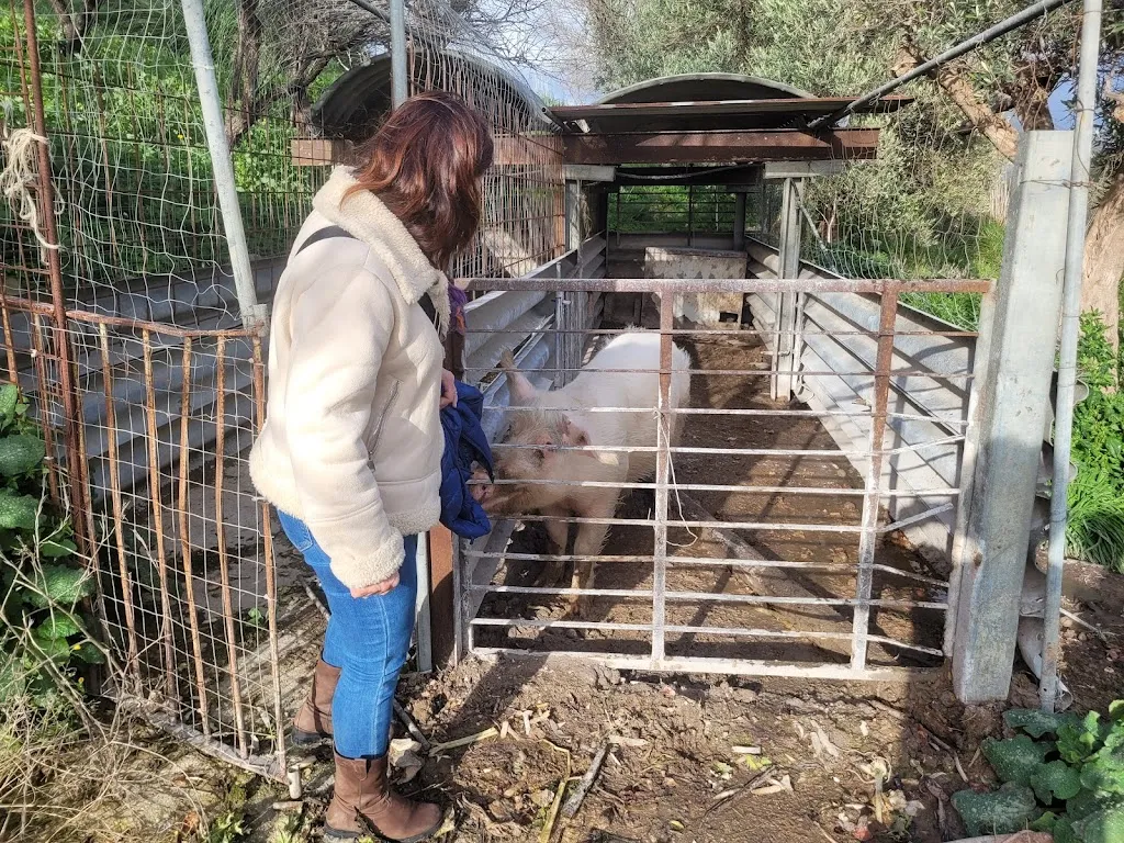 Fabio Messina_Azienda agricola Angela Gervasi_Buseto Palizzolo_review