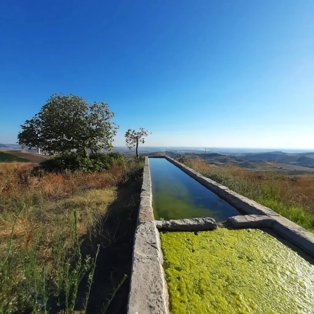 Perla Tranchida_Baglio Murfi_Buseto Palizzolo_review