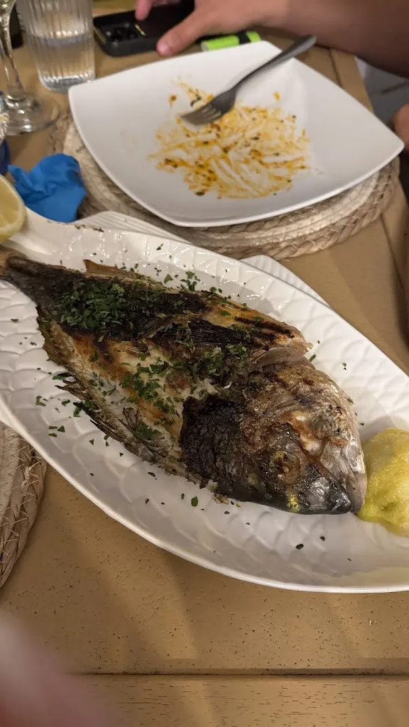 Diaz Van Grondelle_Surf House Sicily_Brucoli_review