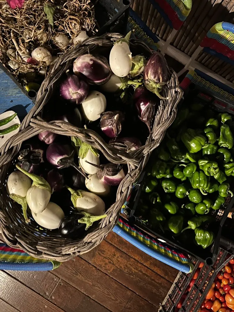 Giuseppe D'Alberti_Trattoria I Rizzari_Brucoli_review