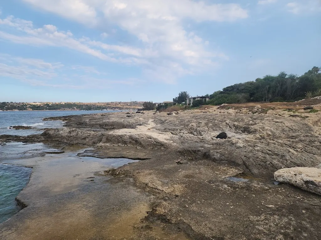 Kaigan Sushi Bar, Brucoli_Brucoli_slider_image_3