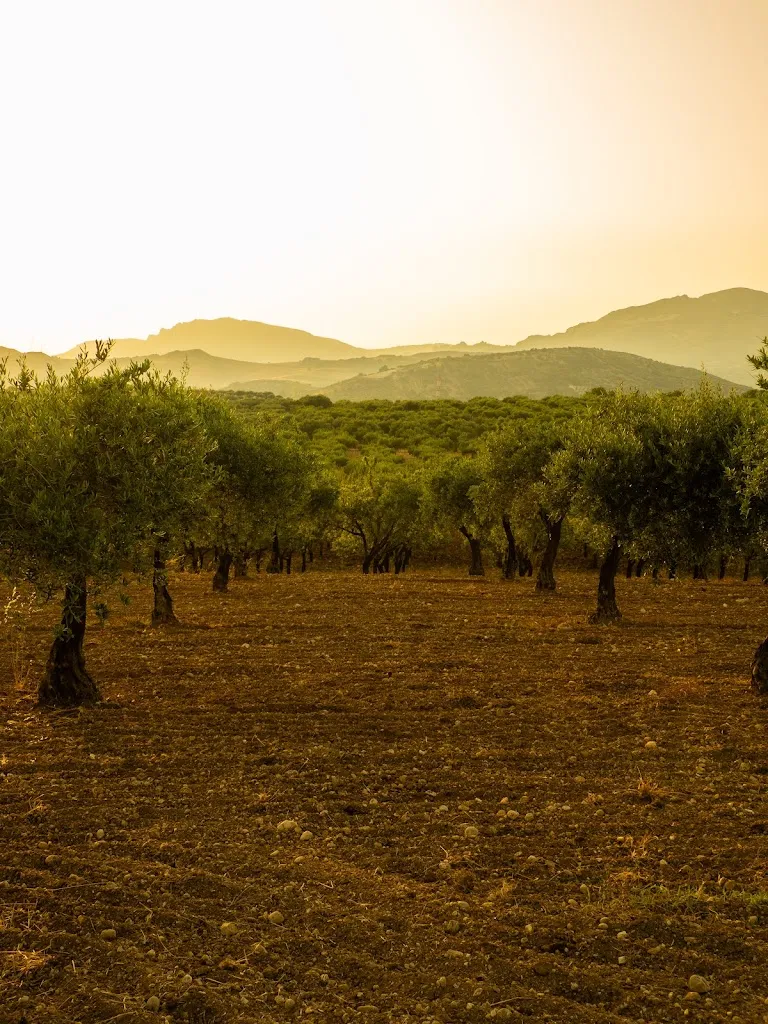 Damien van der Peet_B&B Le Foglie D'Argento_Caltabellotta_review