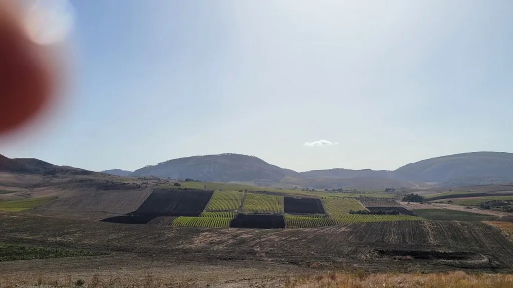 Richard Kiefl_Tenute Margana_Calatafimi_review