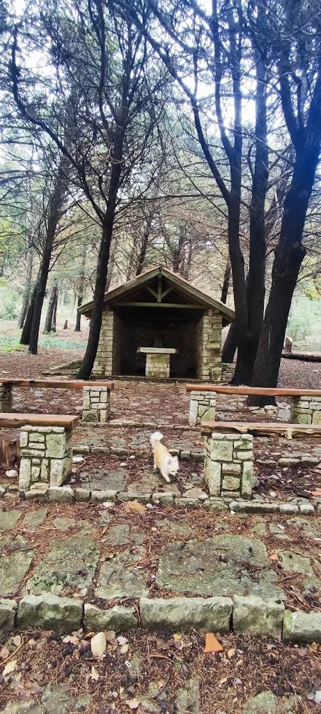 Orsobubi_Ristorante Primo Rifugio_Cammarata_review