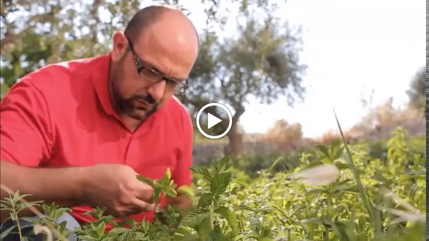 Ristorante Pizzeria Le Magnolie_Campanella-Gianforma_slider_image_2