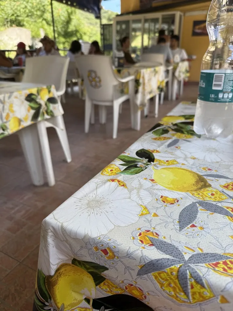 M I_MGM Alcantara_Camastra_review