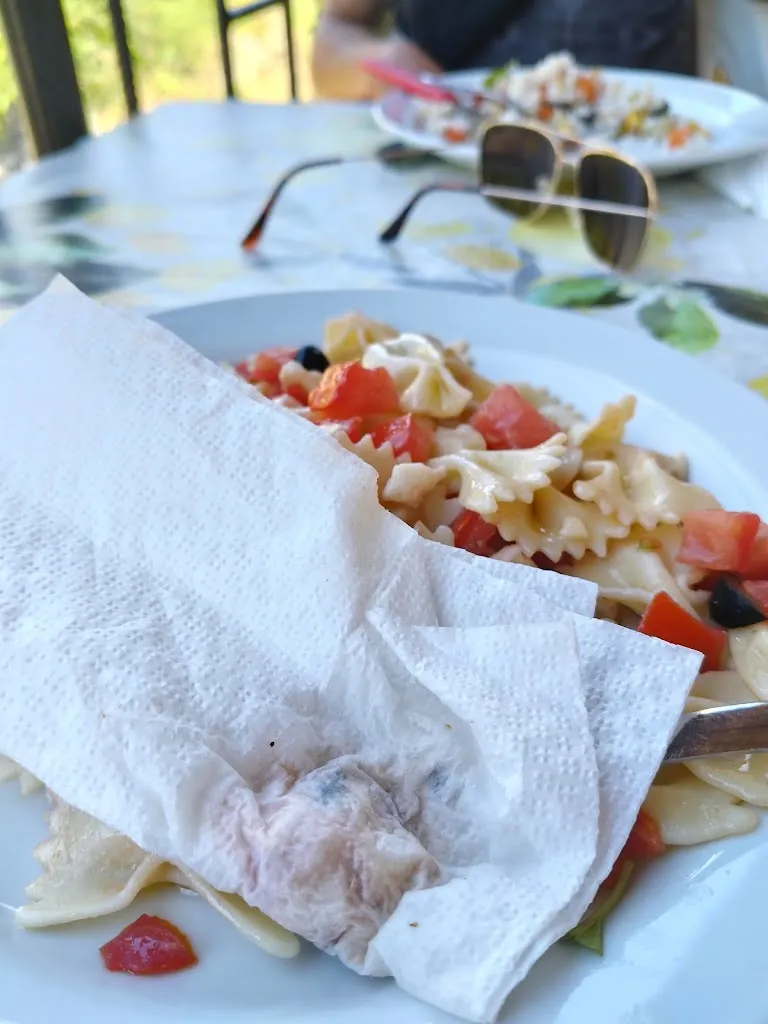 Tamar Harosh_MGM Alcantara_Camastra_review