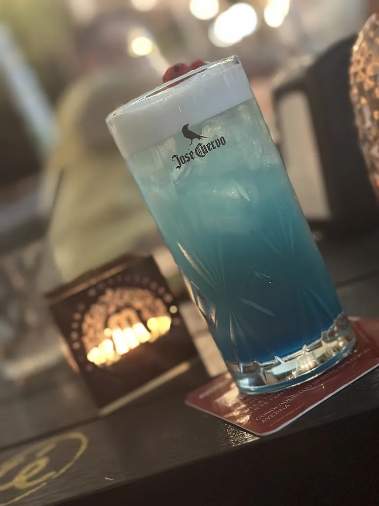 Salvatore Geraci_American Bar Camastra_Camastra_review