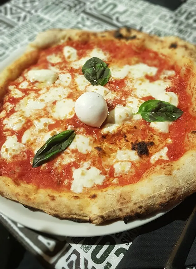 Aleyna T_rossodivino_Camastra_review