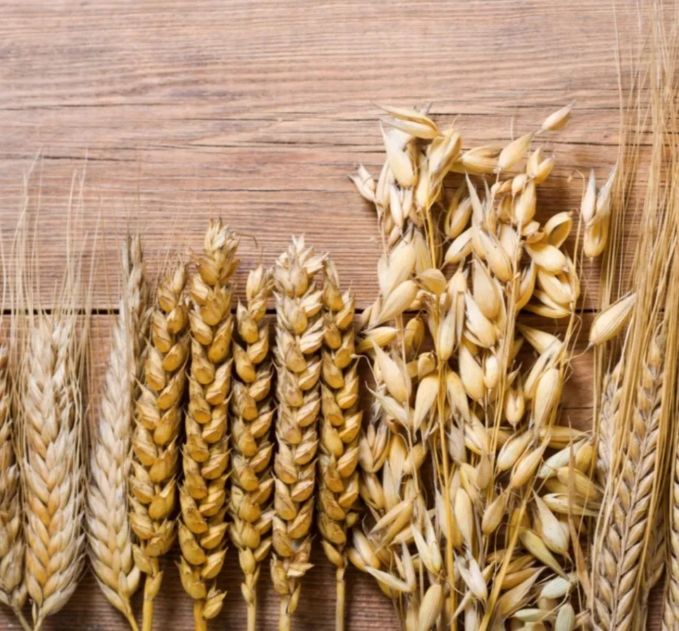 Forno Polizzi_Caltagirone_slider_image_3