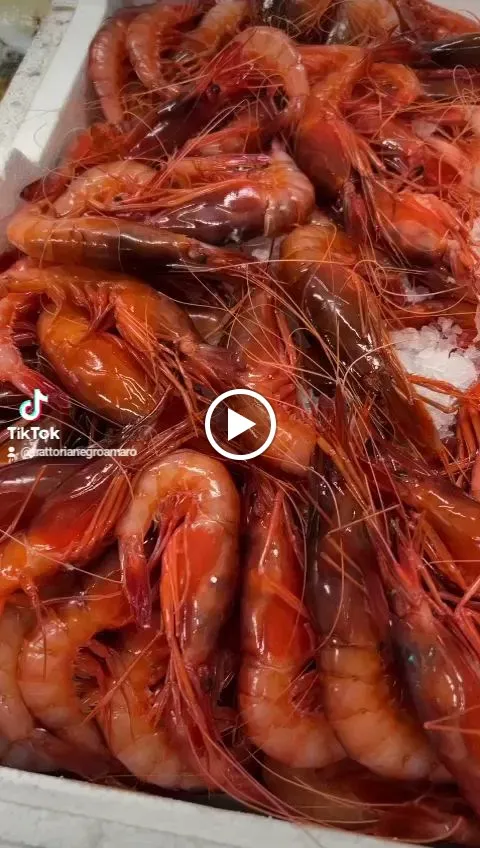 Trattoria del Negroamaro_Latiano_slider_image_3