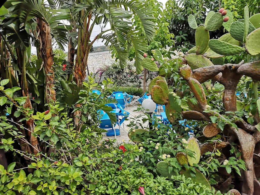 Praveen _CAFFE’ SOLAIRE S.R.L._Campofelice di Roccella_review