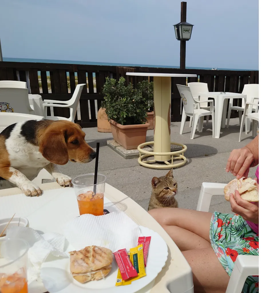 Eva Sagt_Soleada_Campofelice di Roccella_review