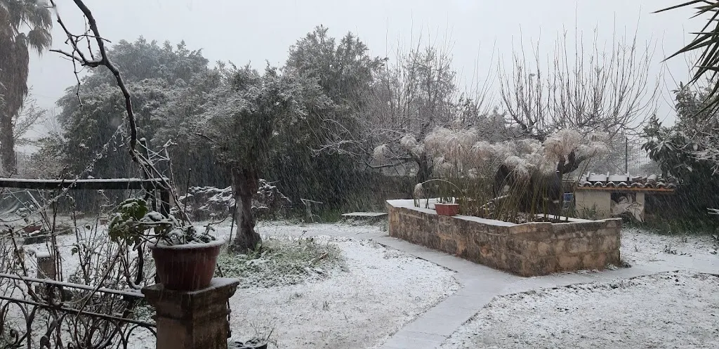 Luca Bussi_Il mio locale_Canicattini Bagni_review