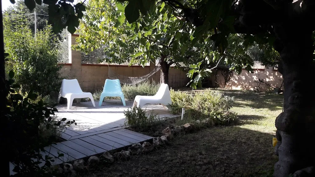 Herba Salvia_Casalbordino-Miracoli_slider_image_1