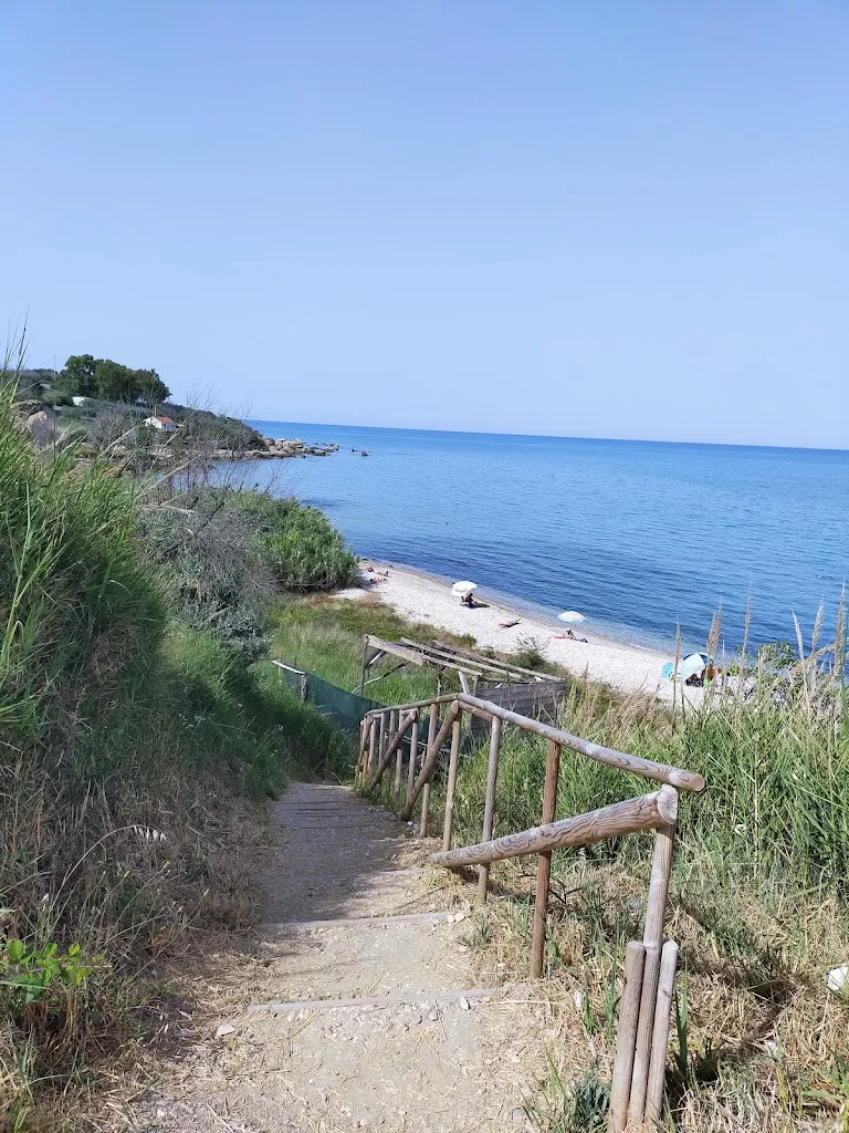 Herba Salvia_Casalbordino-Miracoli_slider_image_3