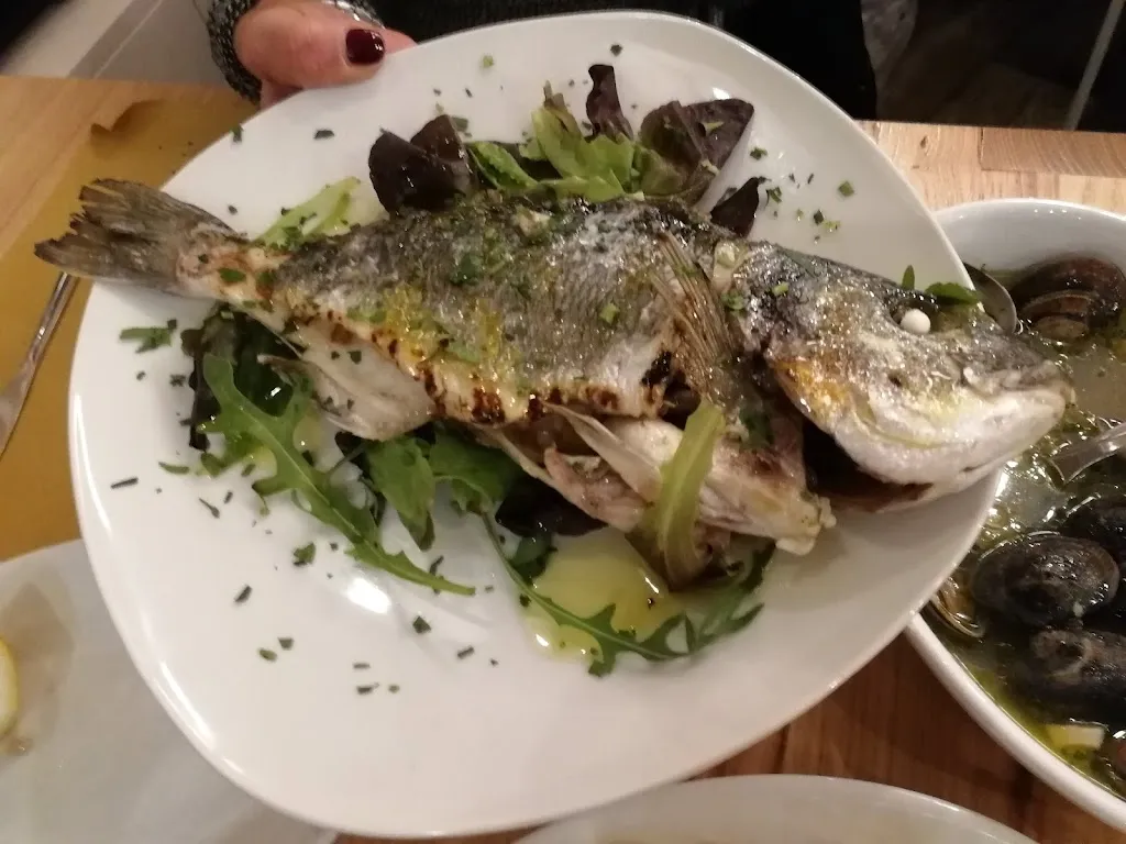 Filippo Milotta_Nitto – Civico 8 da Giuseppe_Canalicchio_review