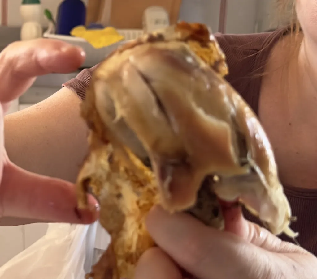 Menu_Polli alla Brace Luciano Stracuzzi_Canalicchio_image_6