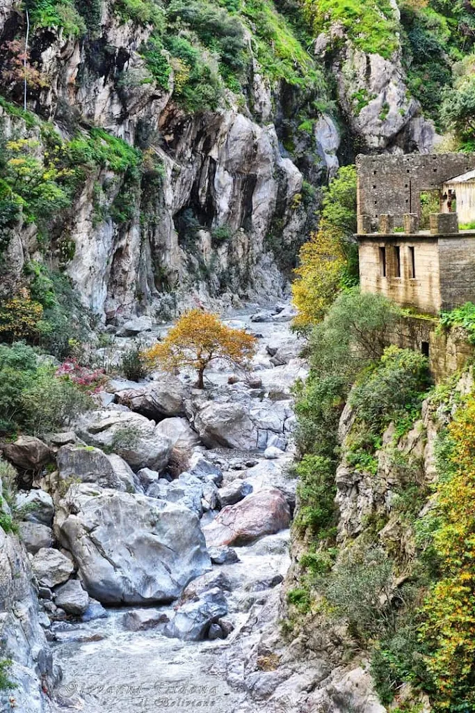 Ritrovo Agrituristico Donna Giosina_Casalvecchio Siculo_slider_image_3