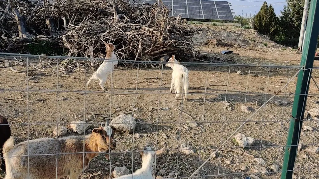 Il Giardino del Sole restaurant in Carlentini