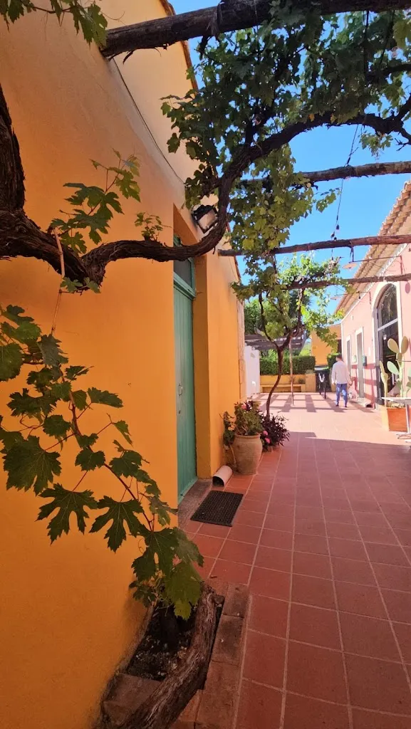 mariam abesadze_Agriturismo Roccadia_Carlentini_review