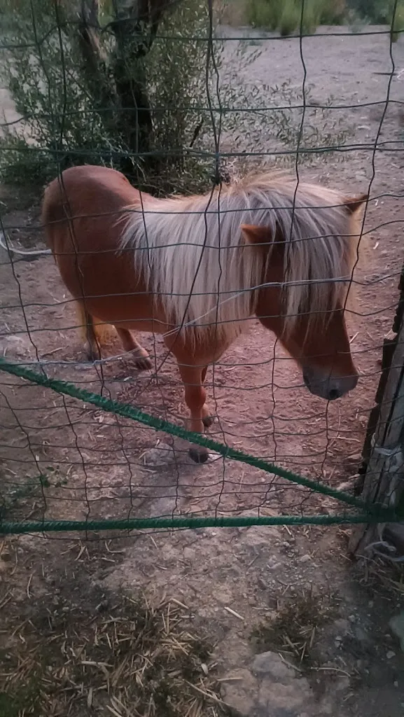 Le Cinque Pietre_Carlentini_slider_image_2