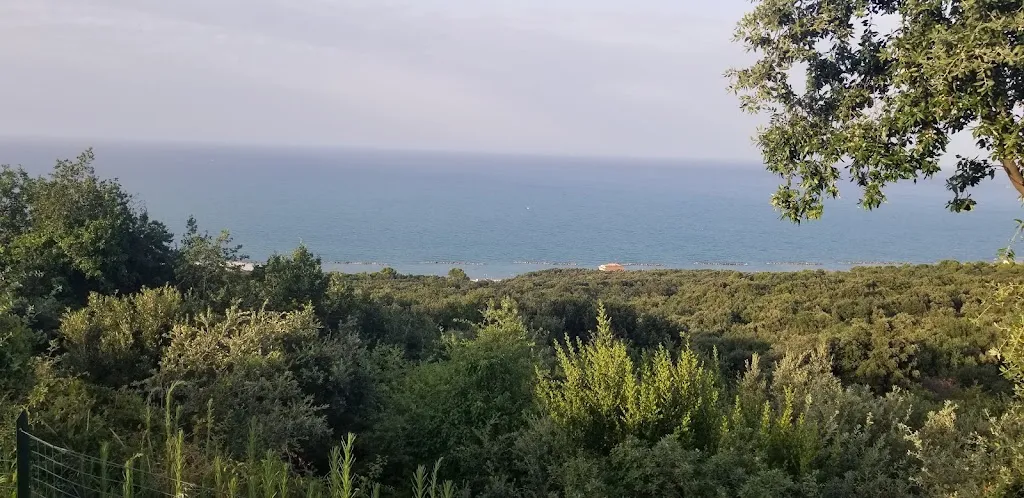 Fabio Piccone_Tra Cielo e Mare - Wedding & Events_Casalbordino-Miracoli_review