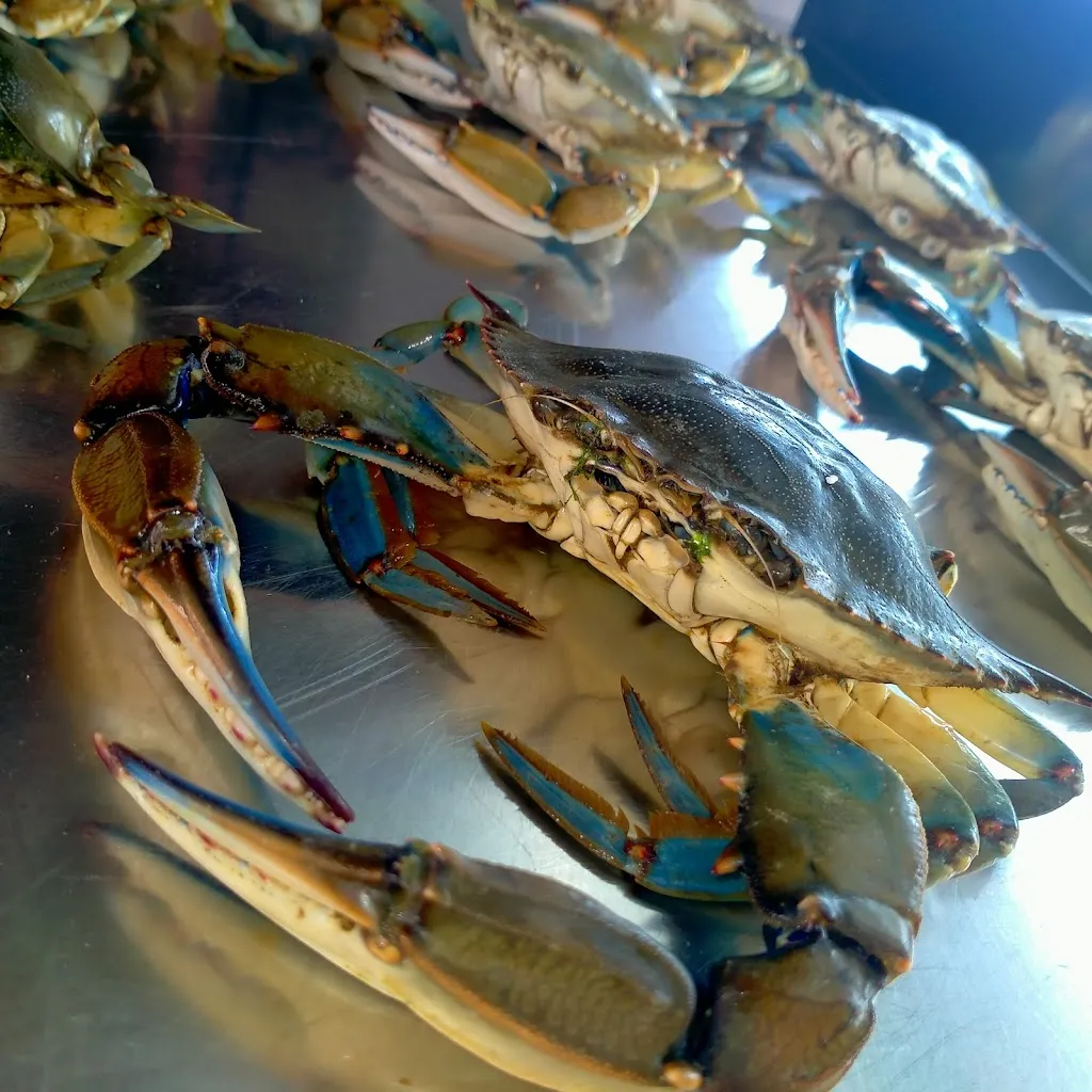 Menu_Ristorante Lady M_Casteltermini_image_8