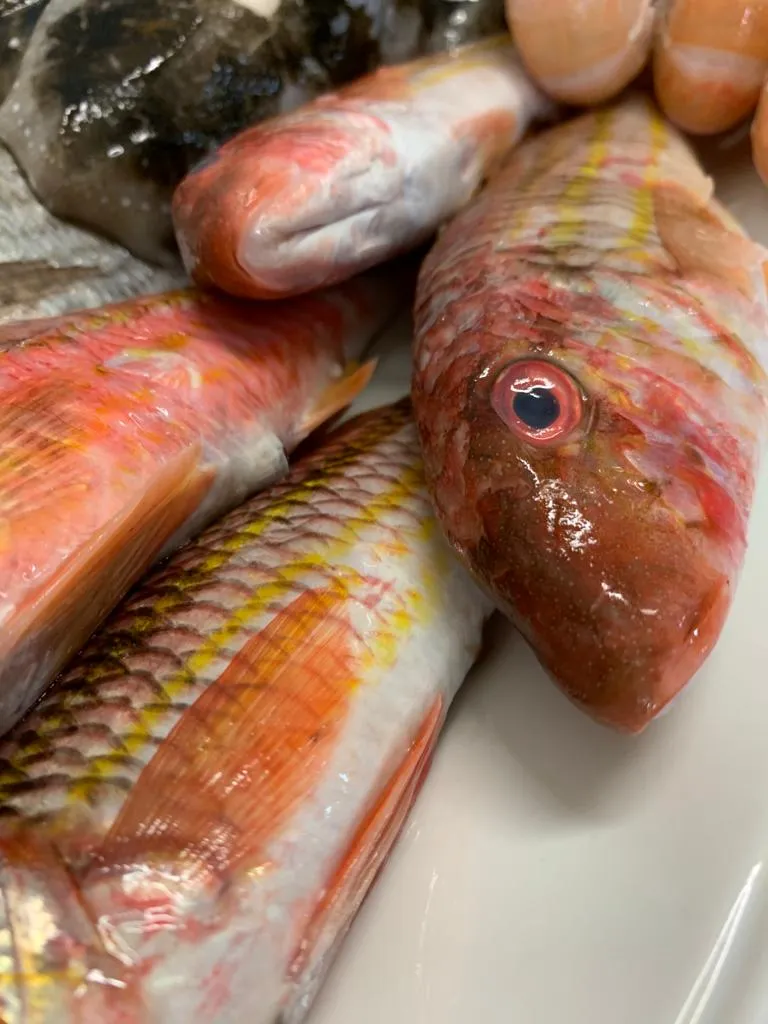 Menu_Alex_Lecce_image_8