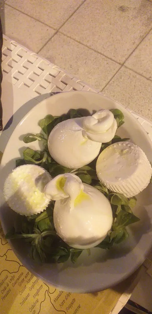 Geosud Elettronica_Cerberus Exclusive_Catenanuova_review