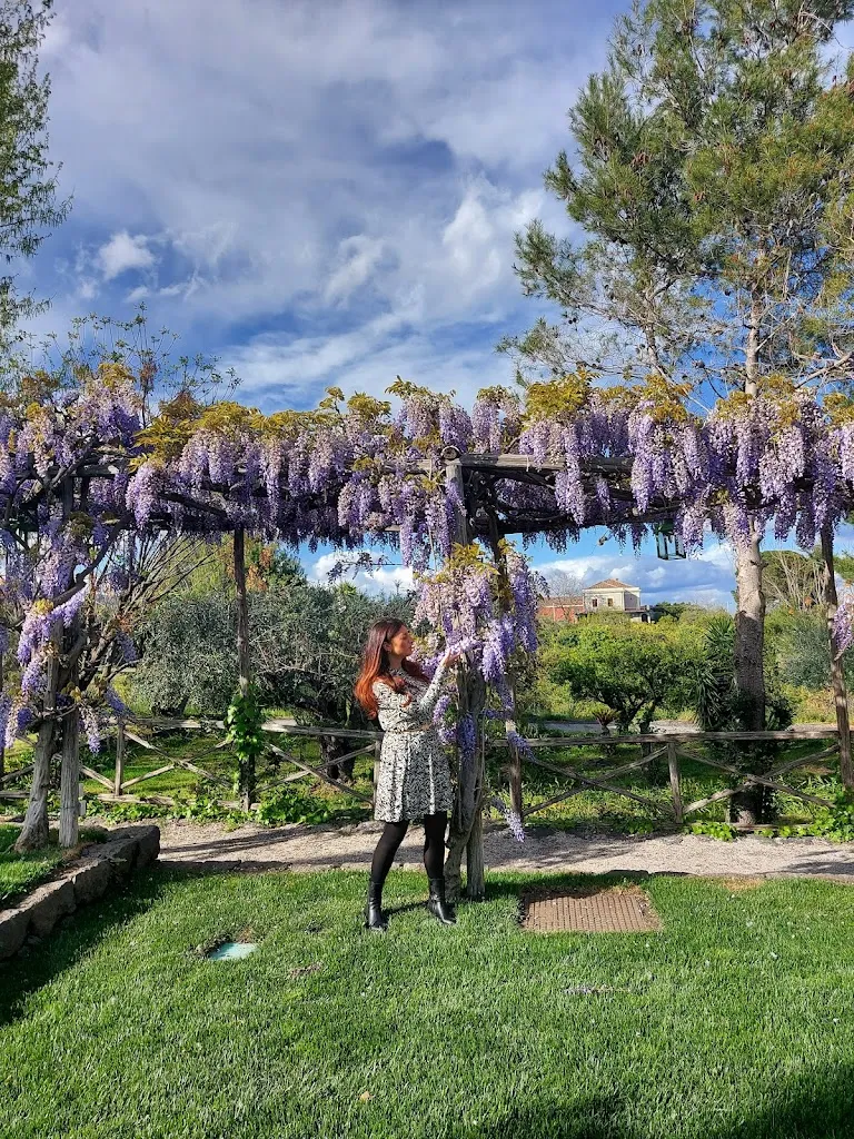 Ristorante Quattro Stagioni_Castelmola_slider_image_2