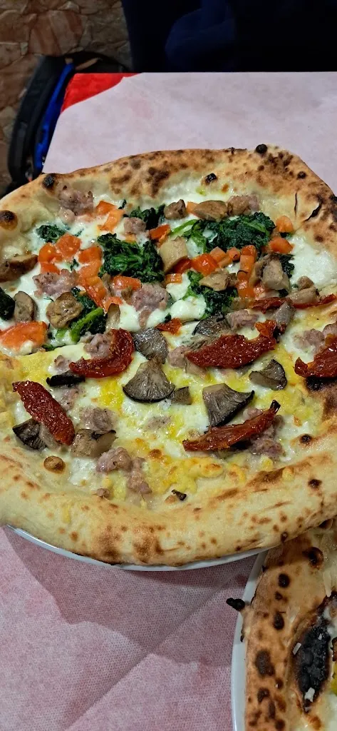 Elsa Torrisi_PALADINO dal 1951_Cesarò_recensione