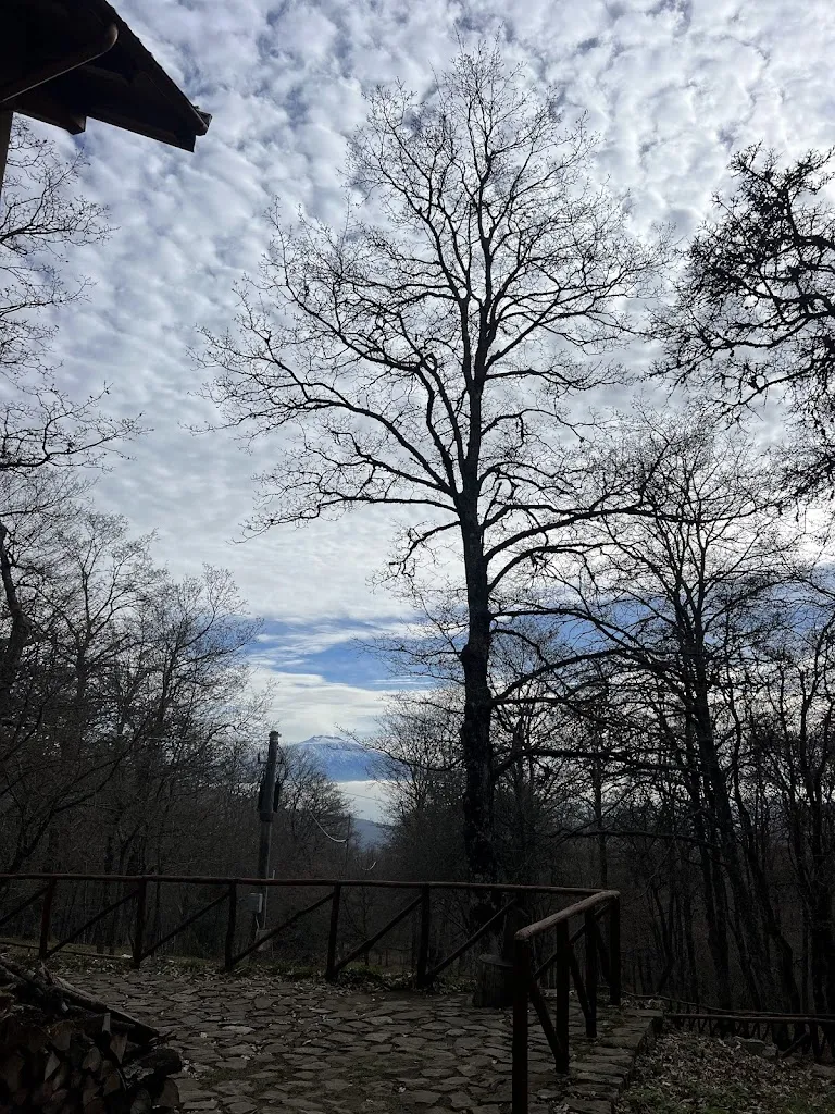 Angela Cataldi_RELAIS VILLA MIRAGLIA_Cesarò_review